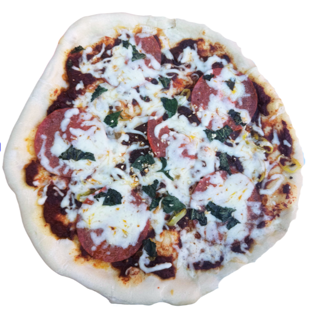 Salami & Cheese Pizza